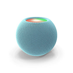 Voice Assistants